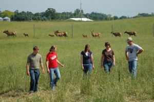 Minnesota farm family raising elk.