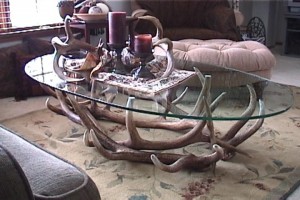 Elk antler coffee table.