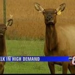 Demand_for_Elk_Meat_Antlers_Growing